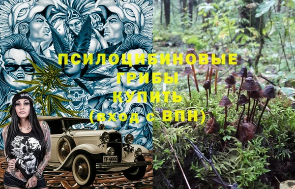 ГАЛЛЮЦИНОГЕННЫЕ ГРИБЫ Волосово