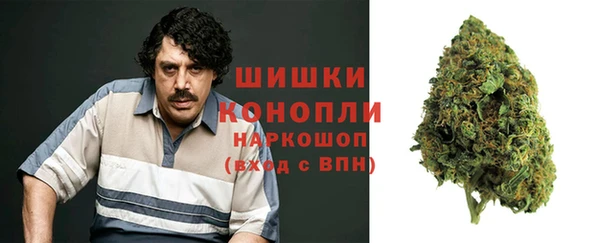 гидра Волоколамск