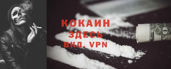 PSILOCYBIN Вязьма