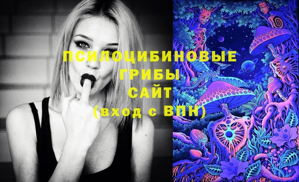 PSILOCYBIN Вязьма