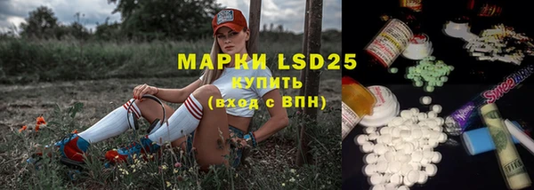 ГАЛЛЮЦИНОГЕННЫЕ ГРИБЫ Волосово