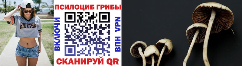 Купить  Коммунар  Галлюциногенные грибы ЛСД 