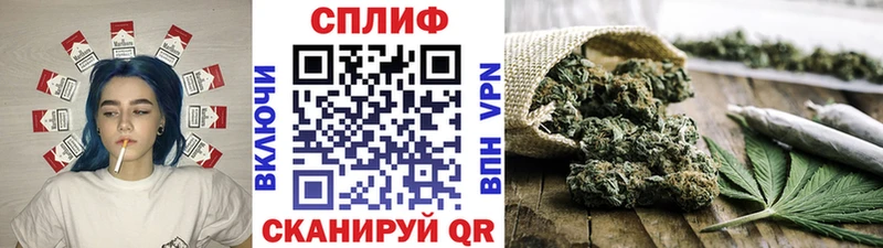 Бошки Шишки ГИДРОПОН  Купить  Коммунар 